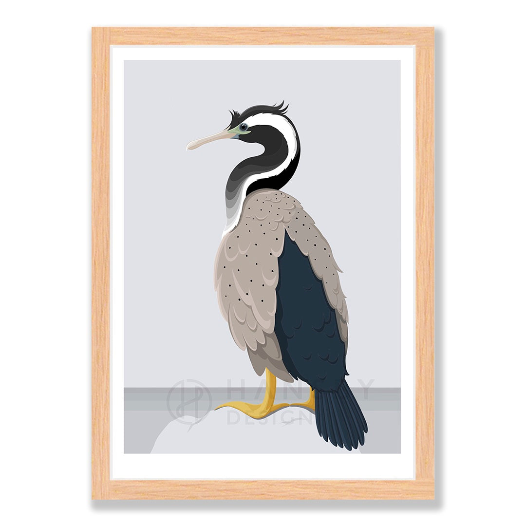 Spotted Shag art print in natural frame, by NZ artist Hansby Design