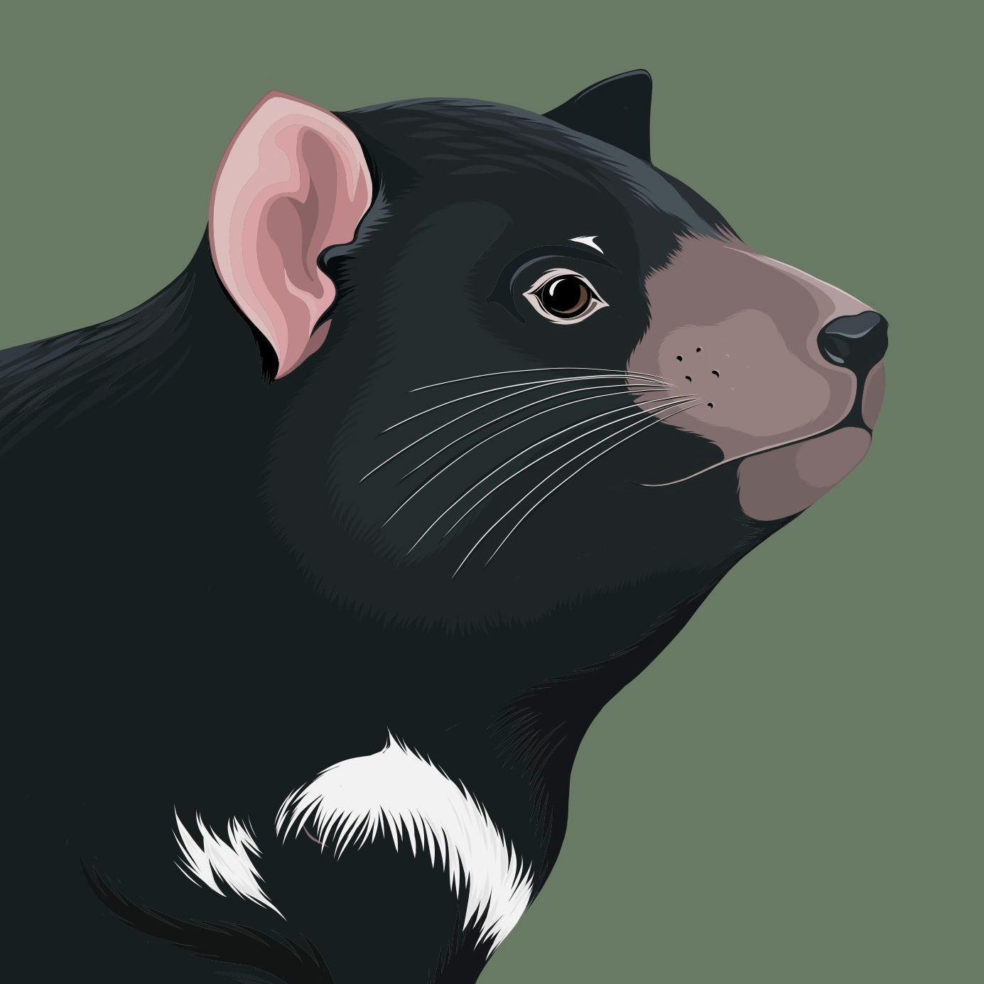 Close up of the Tasmanian Devil art print by Hansby Design NZ artist
