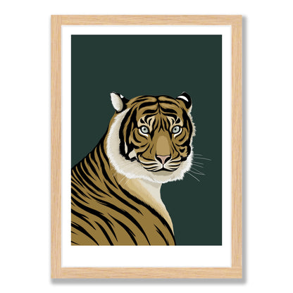 Sumatran Tiger