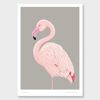 Greater Flamingo art print