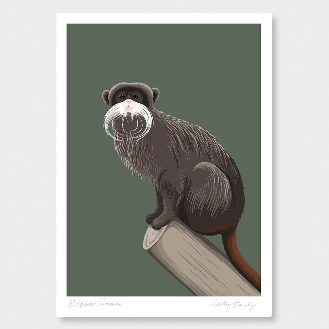 Art print of the Emperor Tamarin by NZ artist Hansby Design