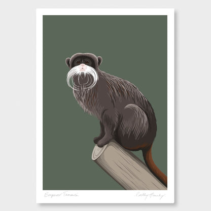 Art print of the Emperor Tamarin by NZ artist Hansby Design