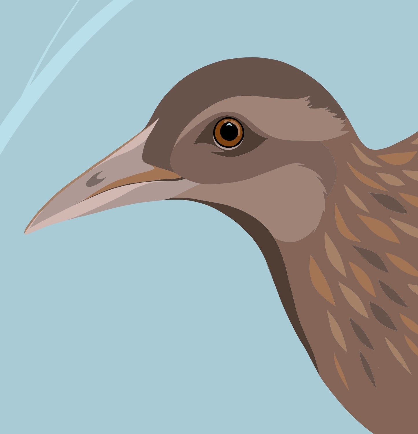 Closeup image of the weka bird art print, by NZ artist Hansby Design