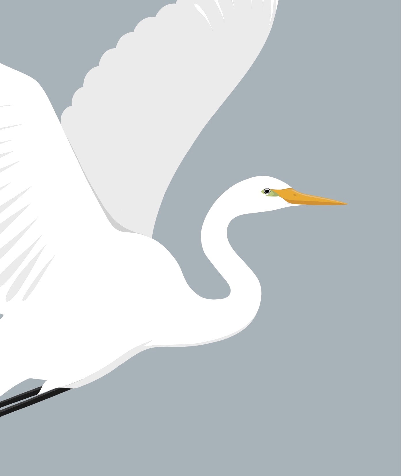 Closeup image of the White Heron art print, by NZ artist Hansby Design