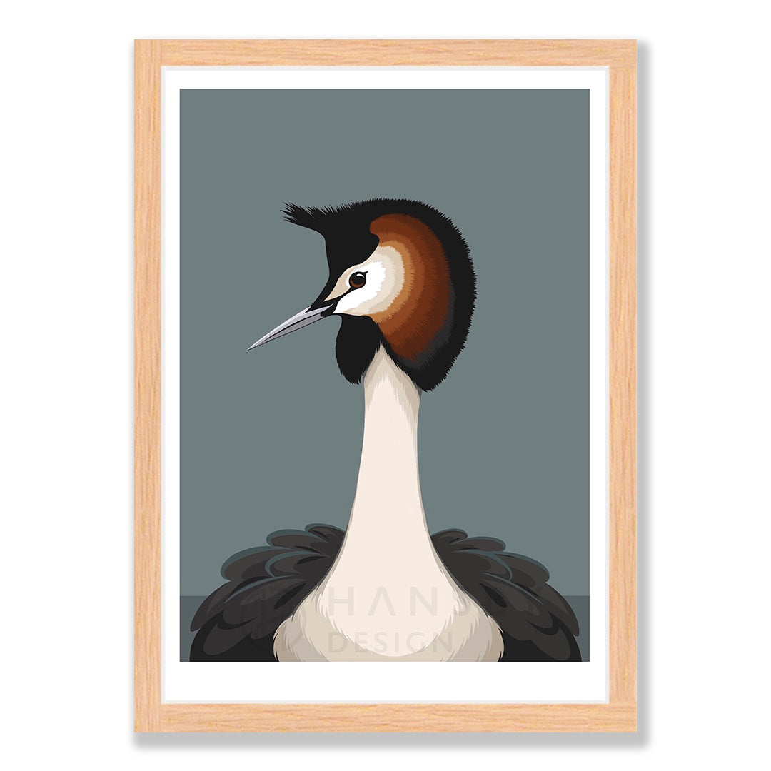 Australasian Grebe art print in natural frame, by NZ artist Hansby Design