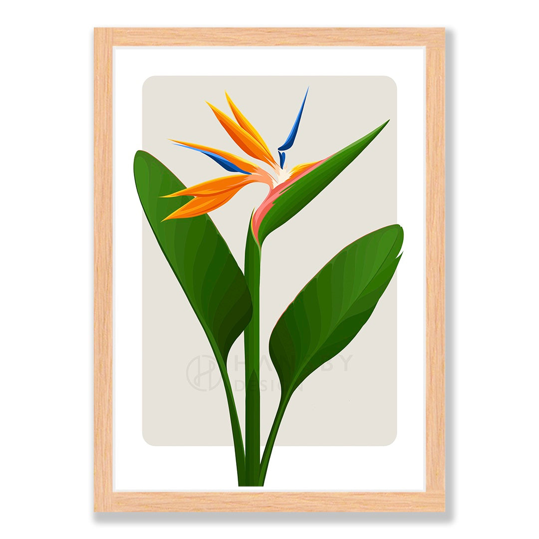 Bird of Paradise art print - almond in natural frame, by NZ artist Hansby Design