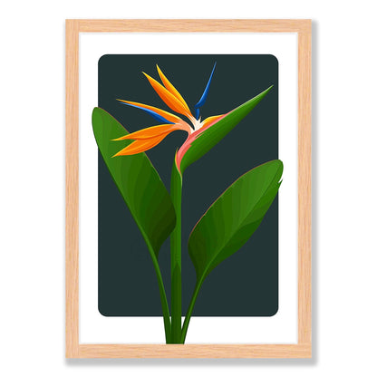 Bird of Paradise art print - ink in natural frame, by NZ artist Hansby Design