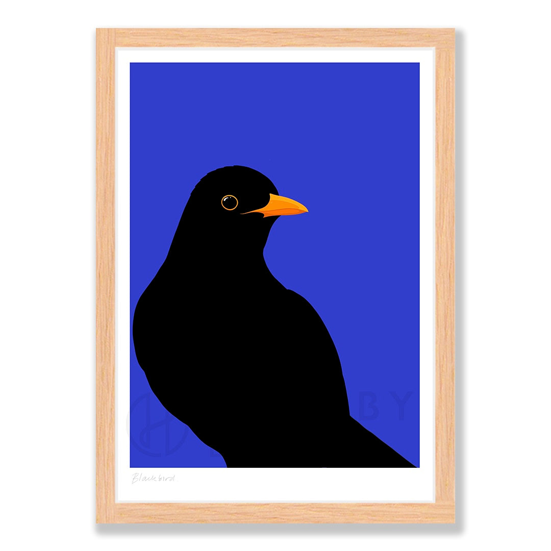 Blackbird art print in natural frame, by NZ artist Hansby Design