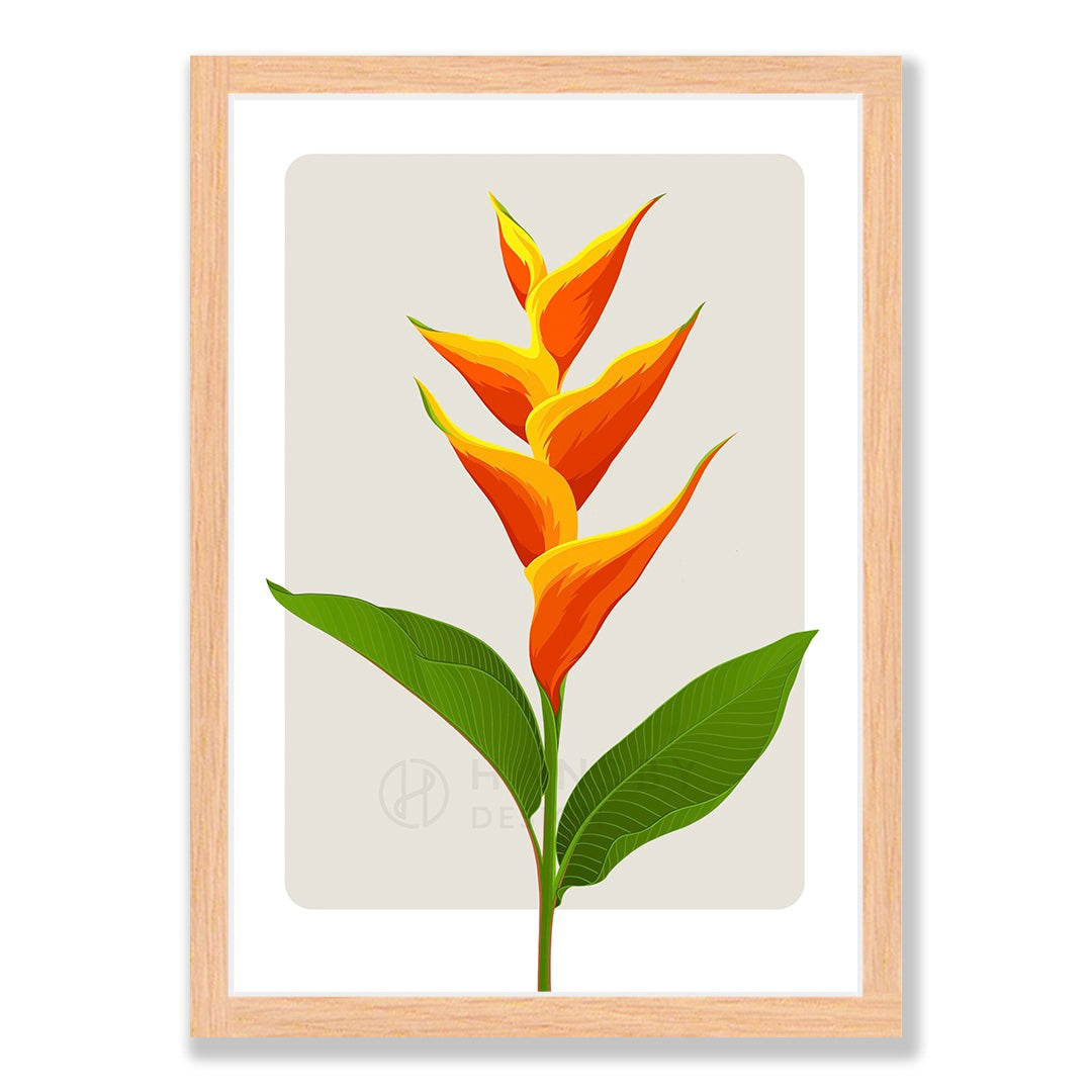 Heliconia art print in natural frame, by NZ artist Hansby Design