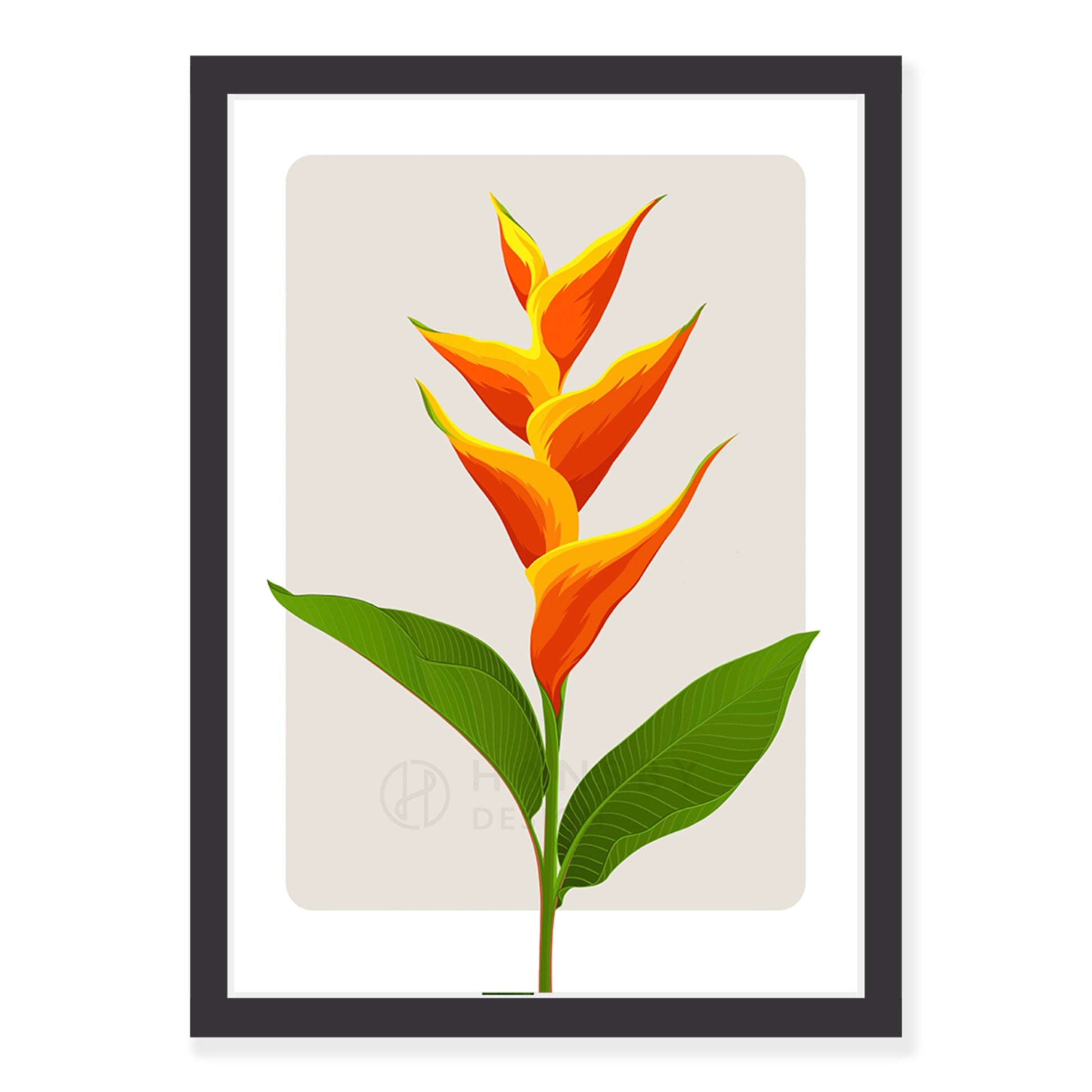 Heliconia art print in black frame, by NZ artist Hansby Design