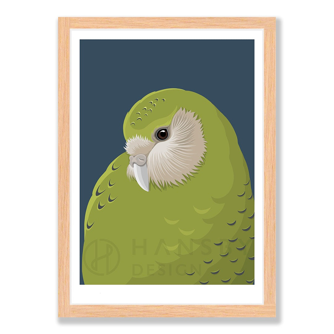 Kākāpō baby