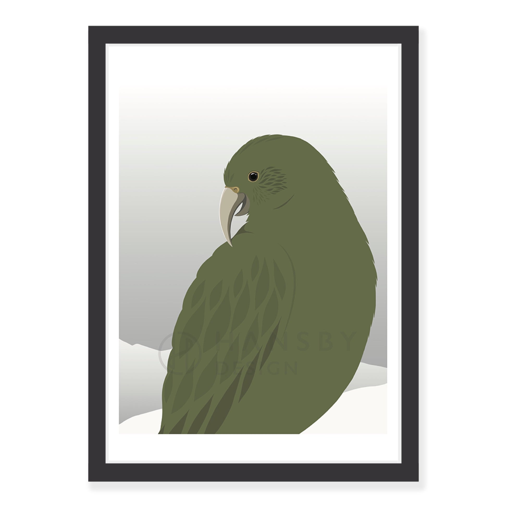 Kea Curious art print in black frame, by NZ artist Hansby Design
