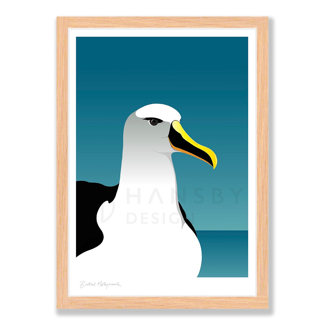 Mollymawk Albatross art print in natural frame, by NZ artist Hansby Design