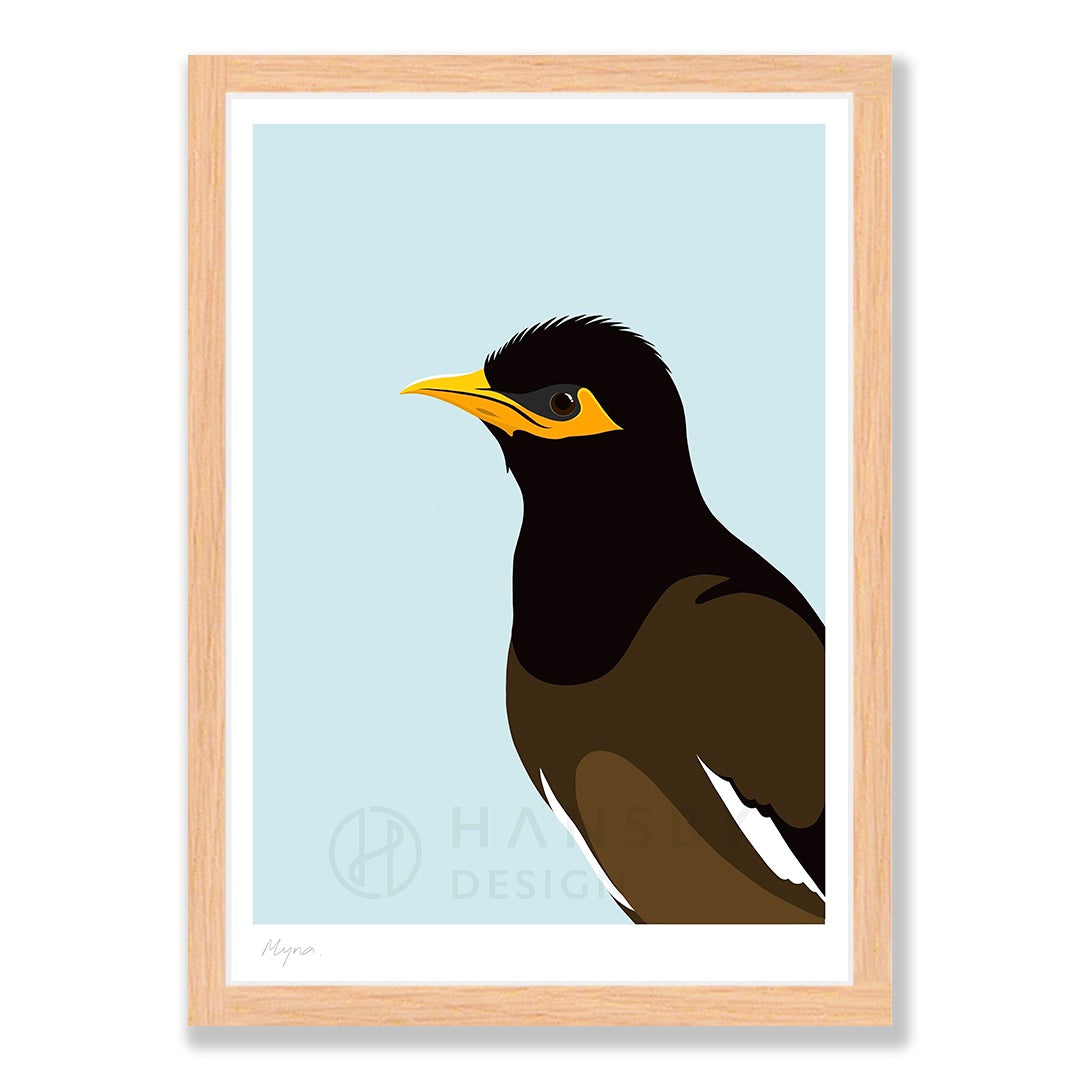 Myna bird art print in natural frame, by NZ artist Hansby Design