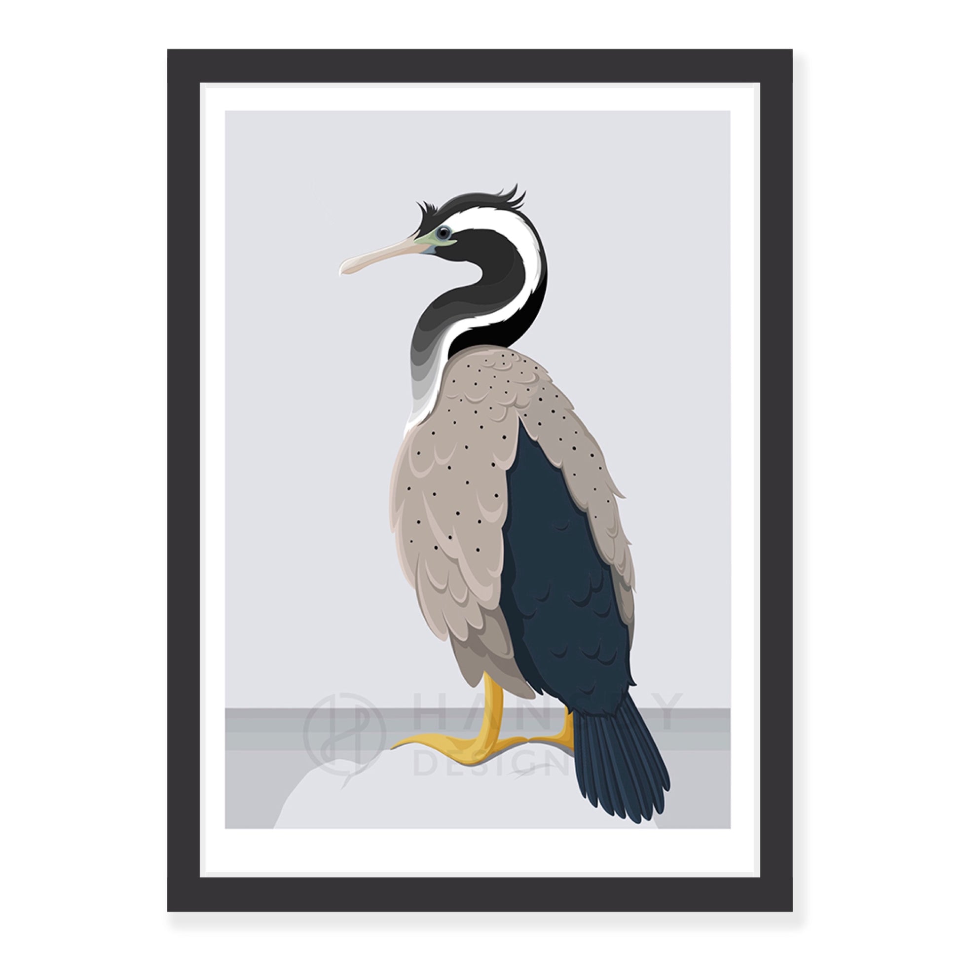 Spotted Shag art print in black frame, by NZ artist Hansby Design