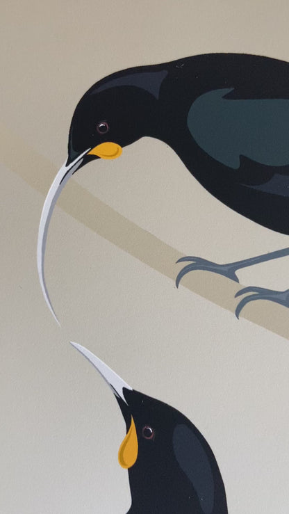 Huia pair art print