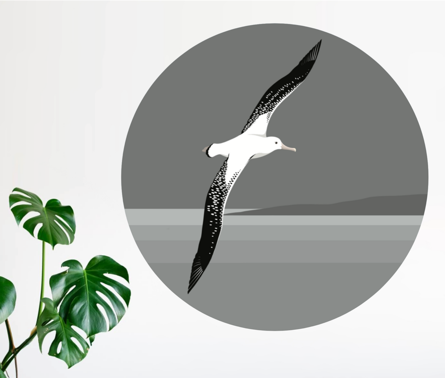 Wall Spot - Albatross art print by New Zealand artist Hansby Design