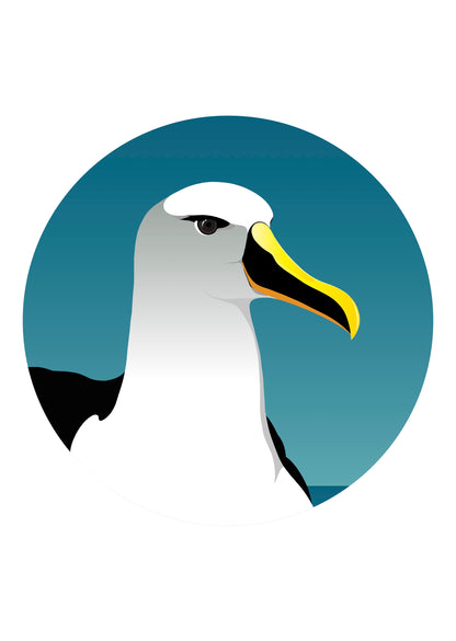 Art spot of New Zealand seabird, the Mollymawk Albatross by Hansby Design 