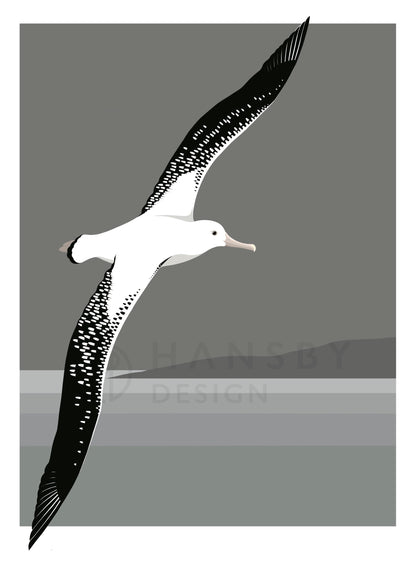 Antipodean Albatross art print in white frame, by NZ artist Hansby Design