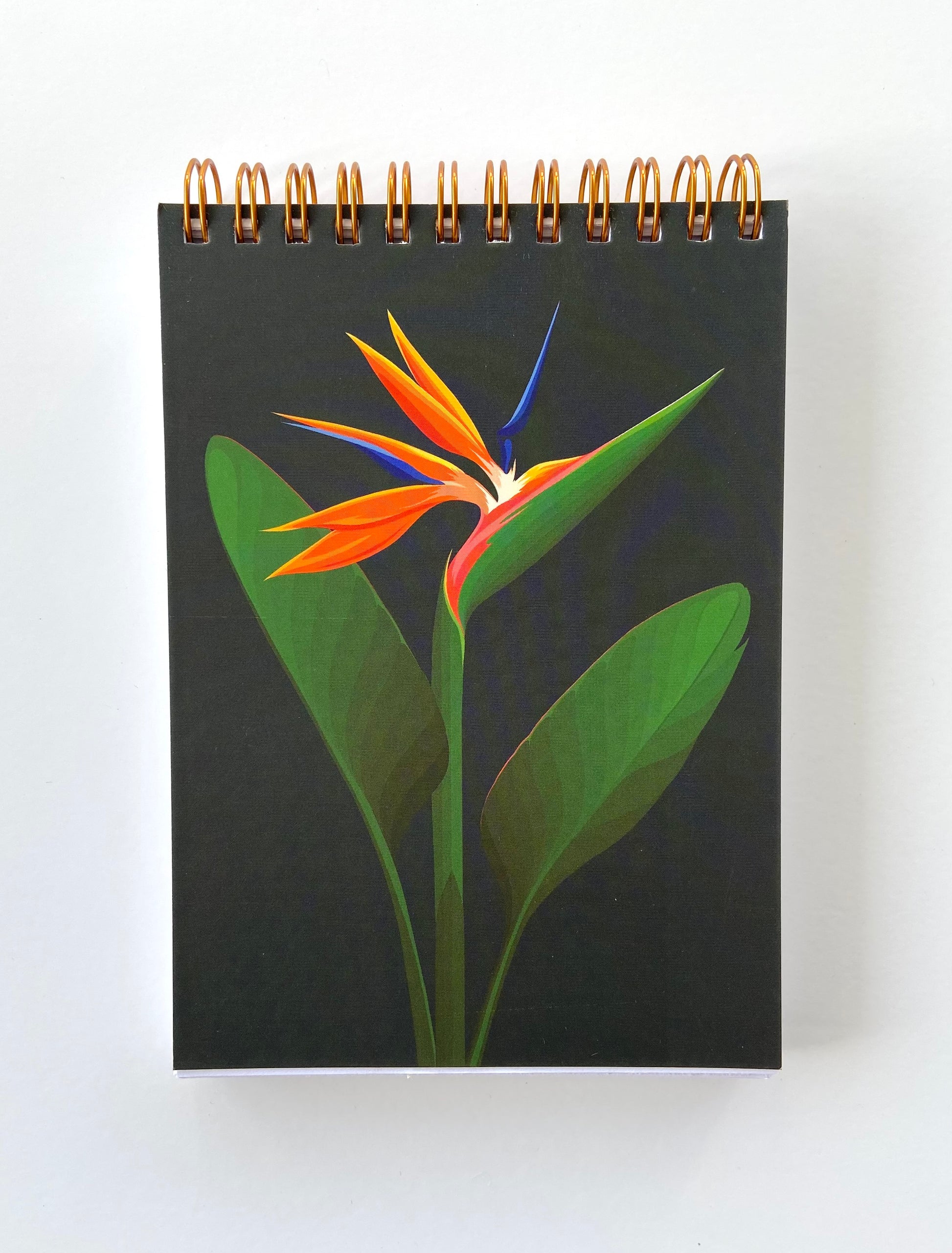 Bird of Paradise Notebook art print, by NZ artist Hansby Design