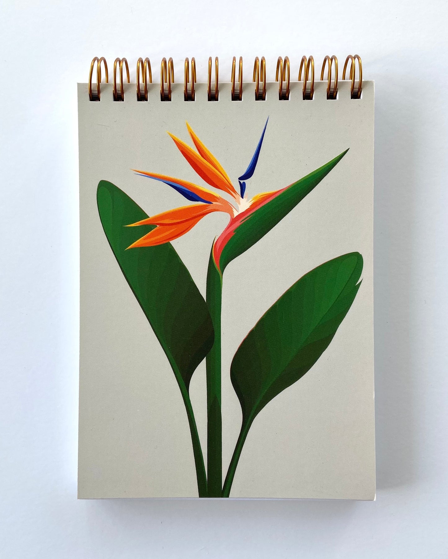Bird of Paradise Notebook art print, by NZ artist Hansby Design