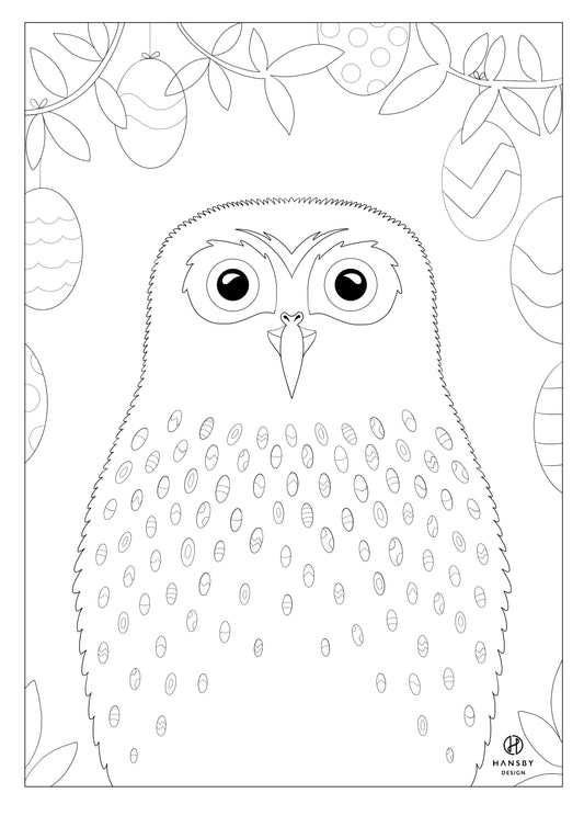 Colouring page of the Morepork owl, by Hansby Design New Zealand
