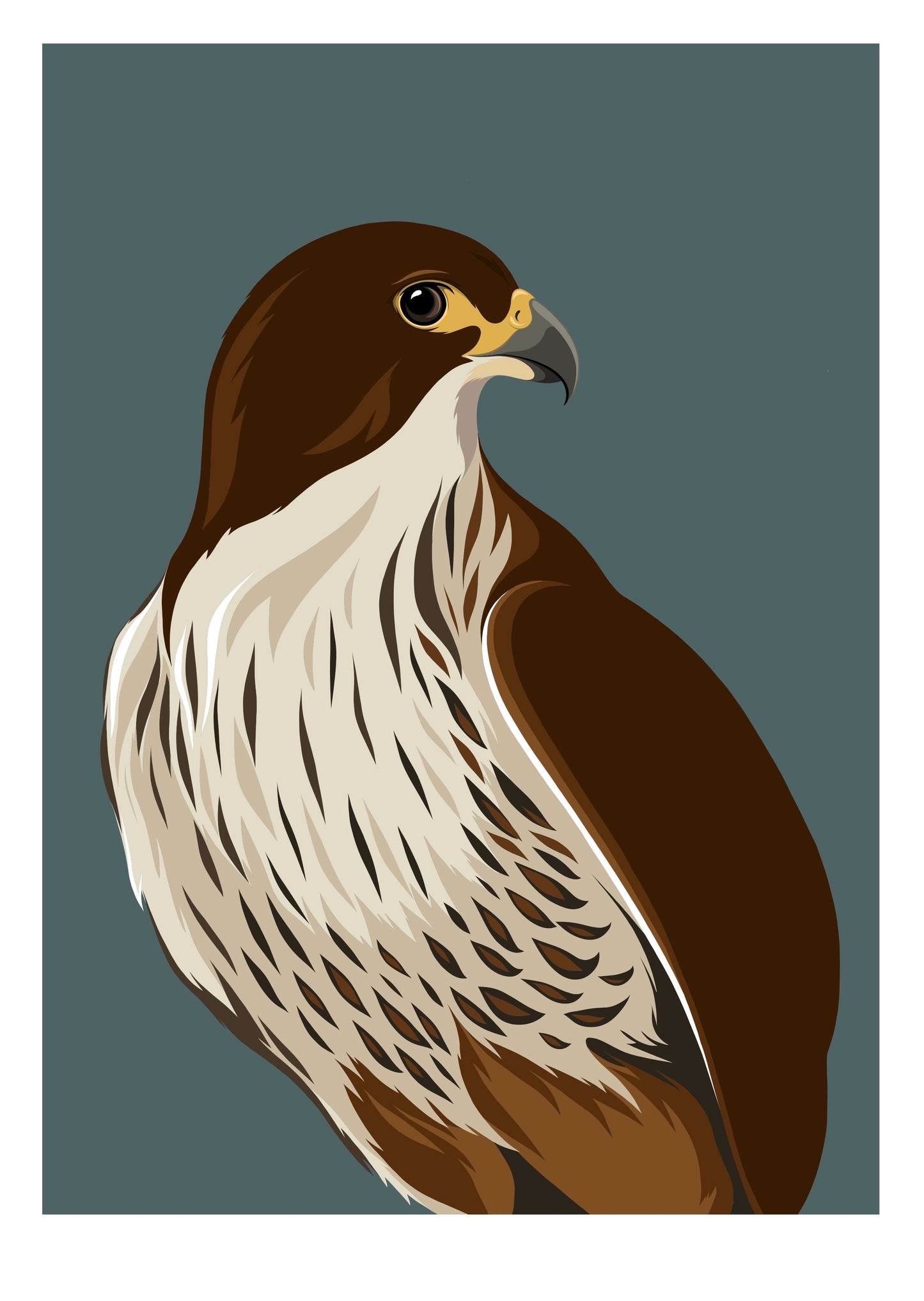 Falcon / Kārearea dusk art print by New Zealand artist Hansby Design