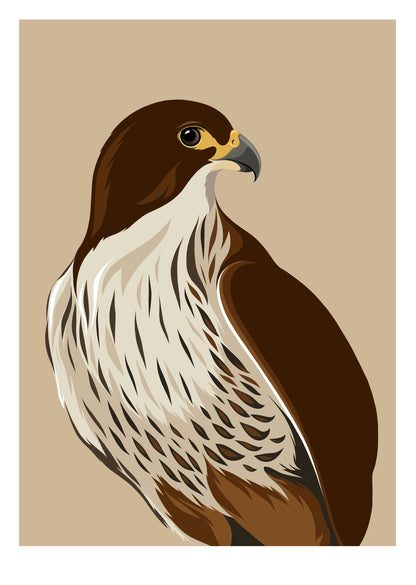 Falcon Caramel art print by New Zealand artist Hansby Design