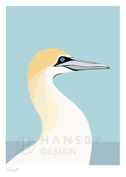 Art print of the New Zealand Gannet sea bird, by Hansby Design