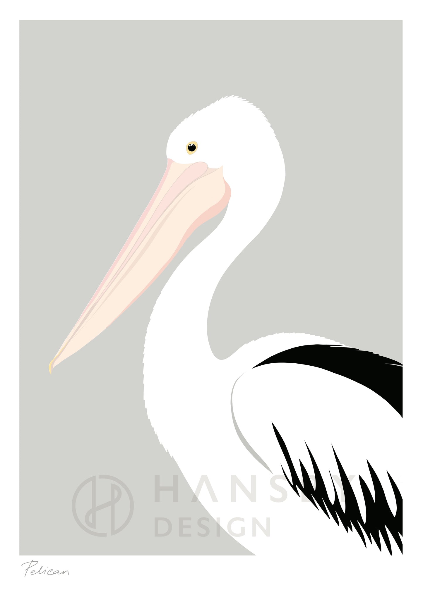 Delicate art print of the Australian Pelican, by Hansby Design New Zealand.