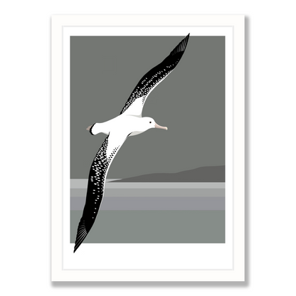 Antipodean Albatross art print by New Zealand artist Hansby Design