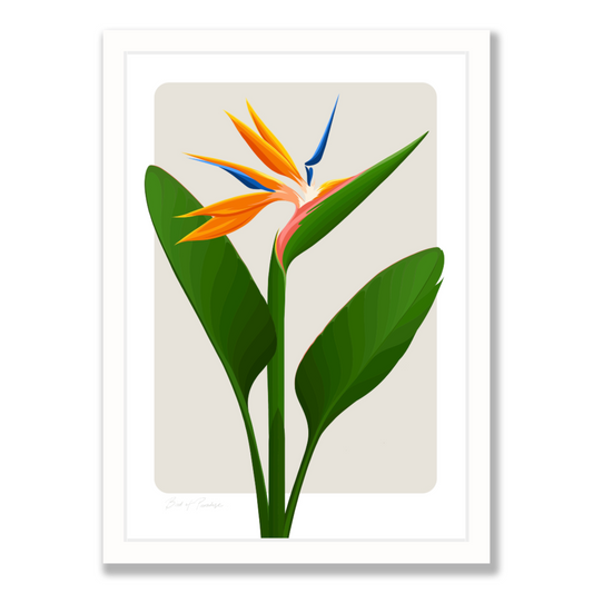 Bird of Paradise art print - almond by New Zealand artist, Hansby Design