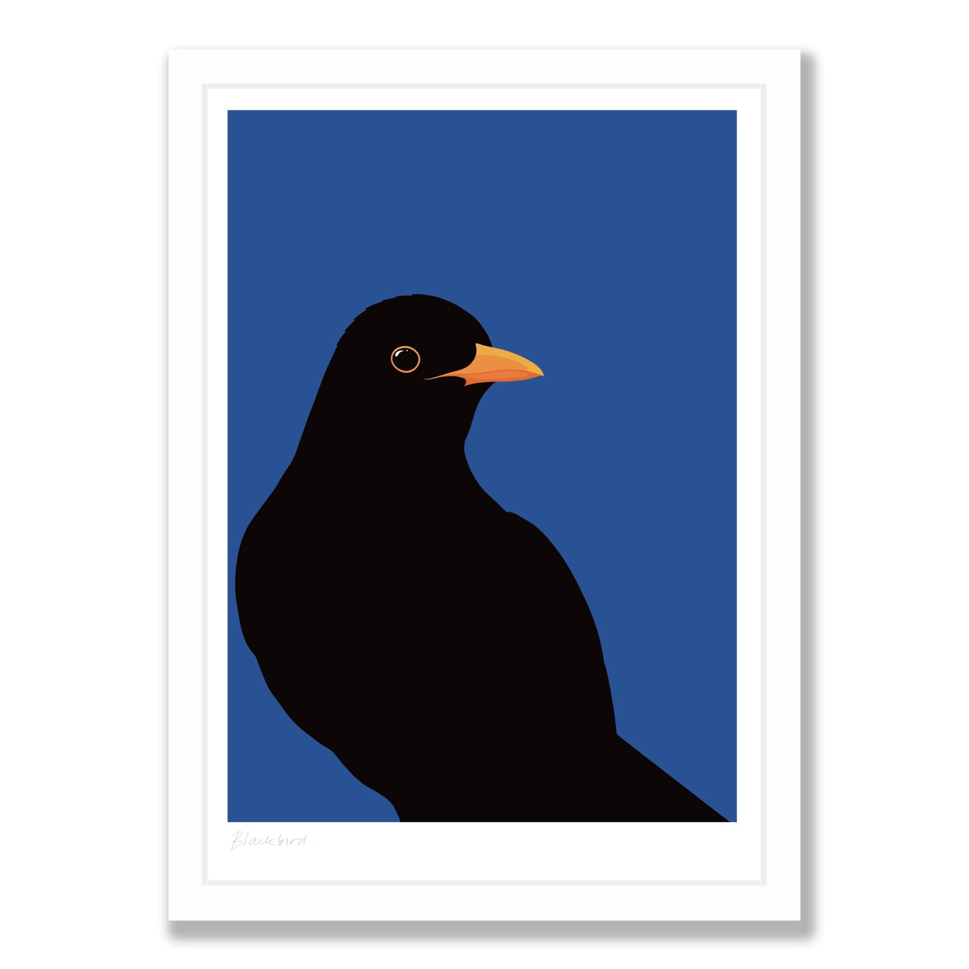 Blackbird art print by New Zealand artist Hansby Design