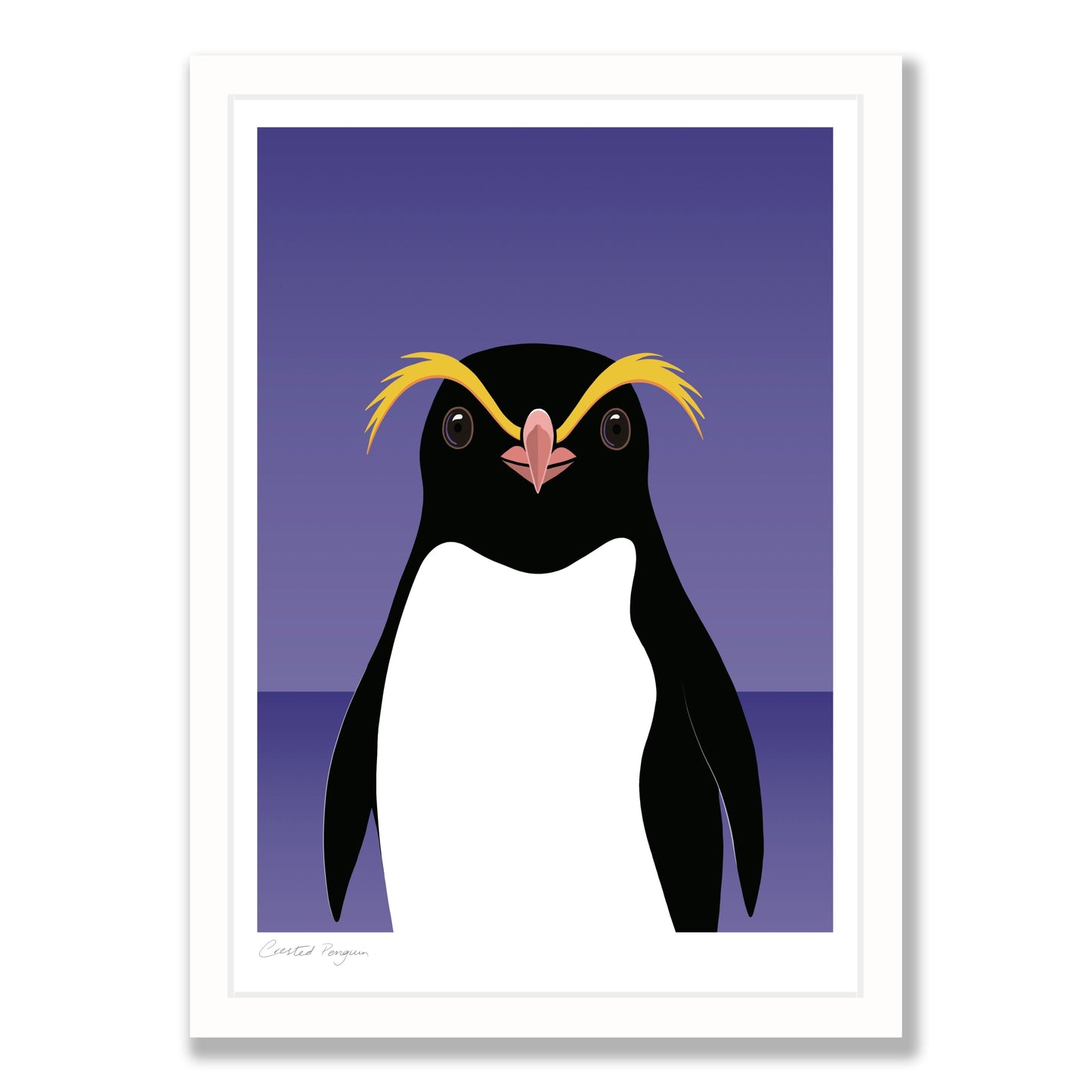 Crested Penguin art print in white frame, by NZ artist Hansby Design