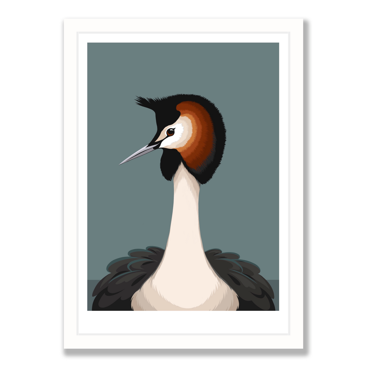 Australasian Grebe art print by New Zealand artist Hansby Design