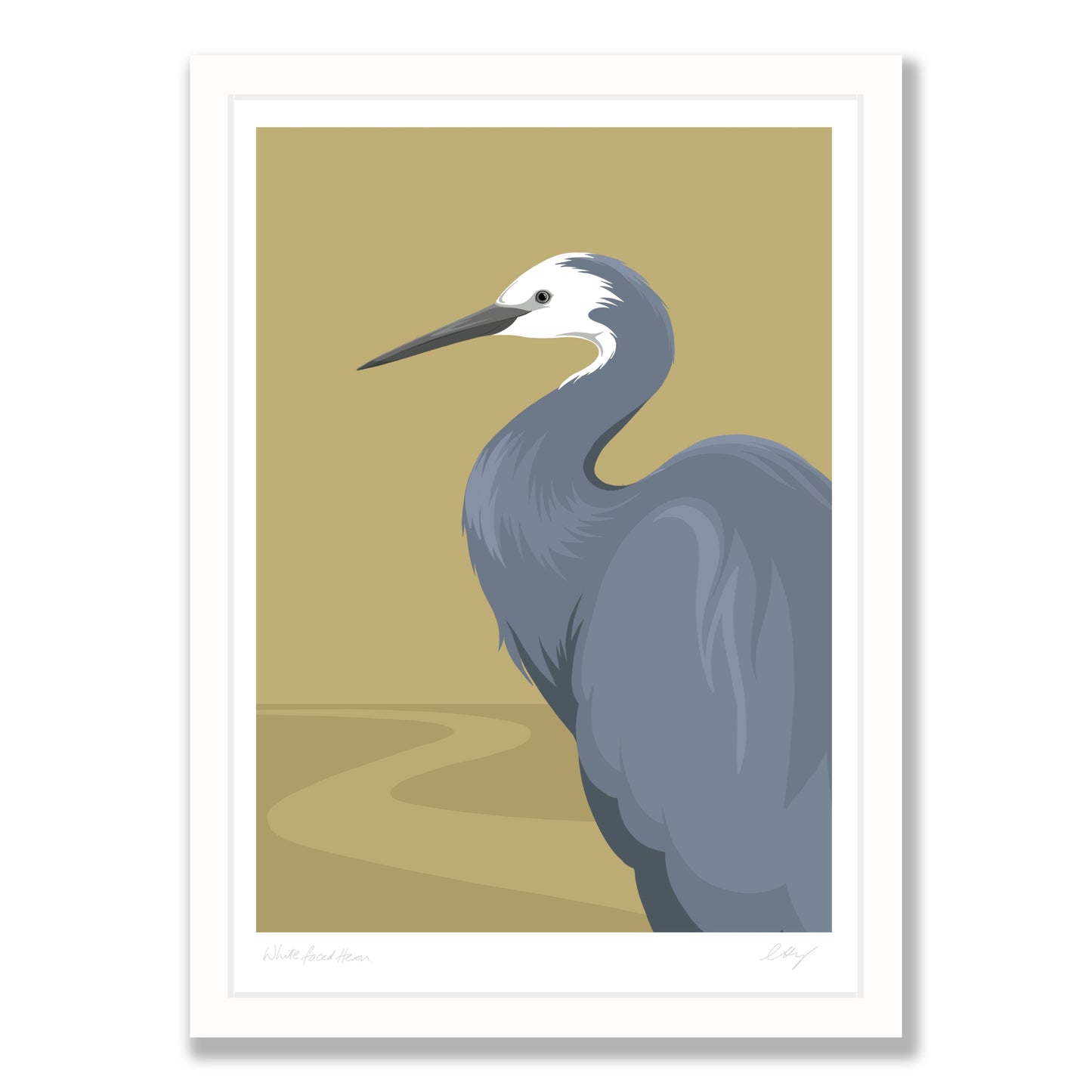 White Faced Heron art print in white frame, by NZ artist Hansby Design