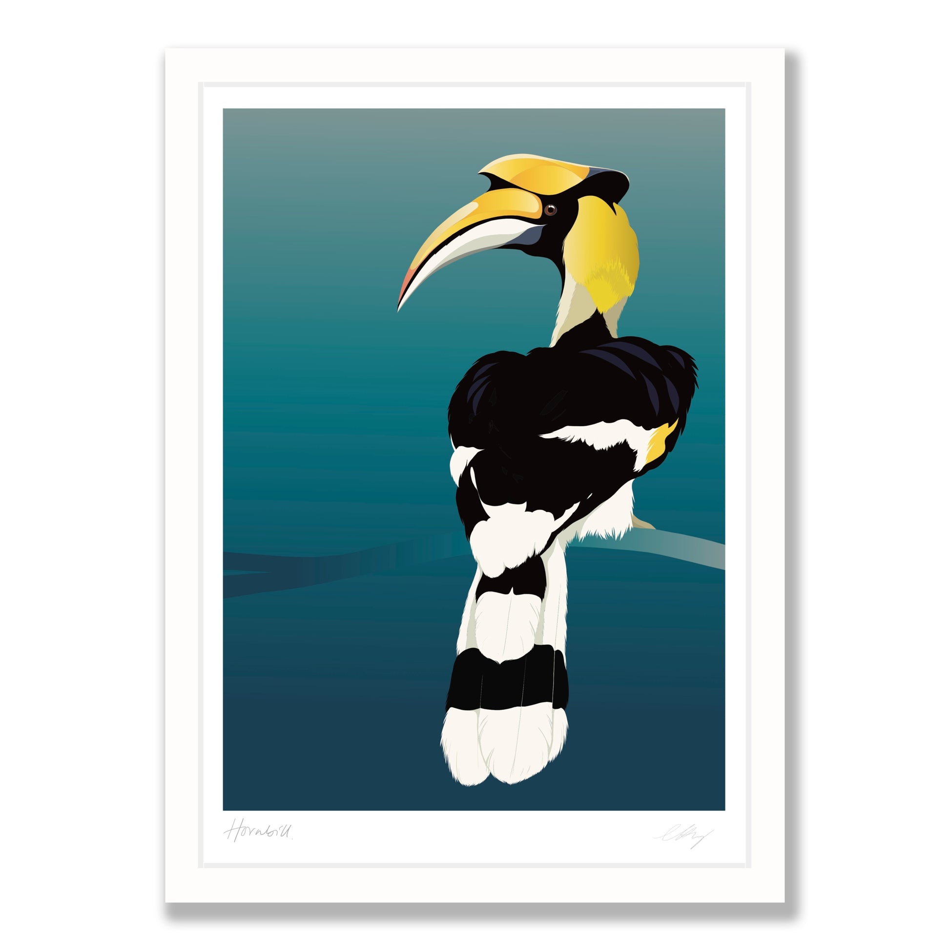 Hornbill art print in white frame, by NZ artist Hansby Design