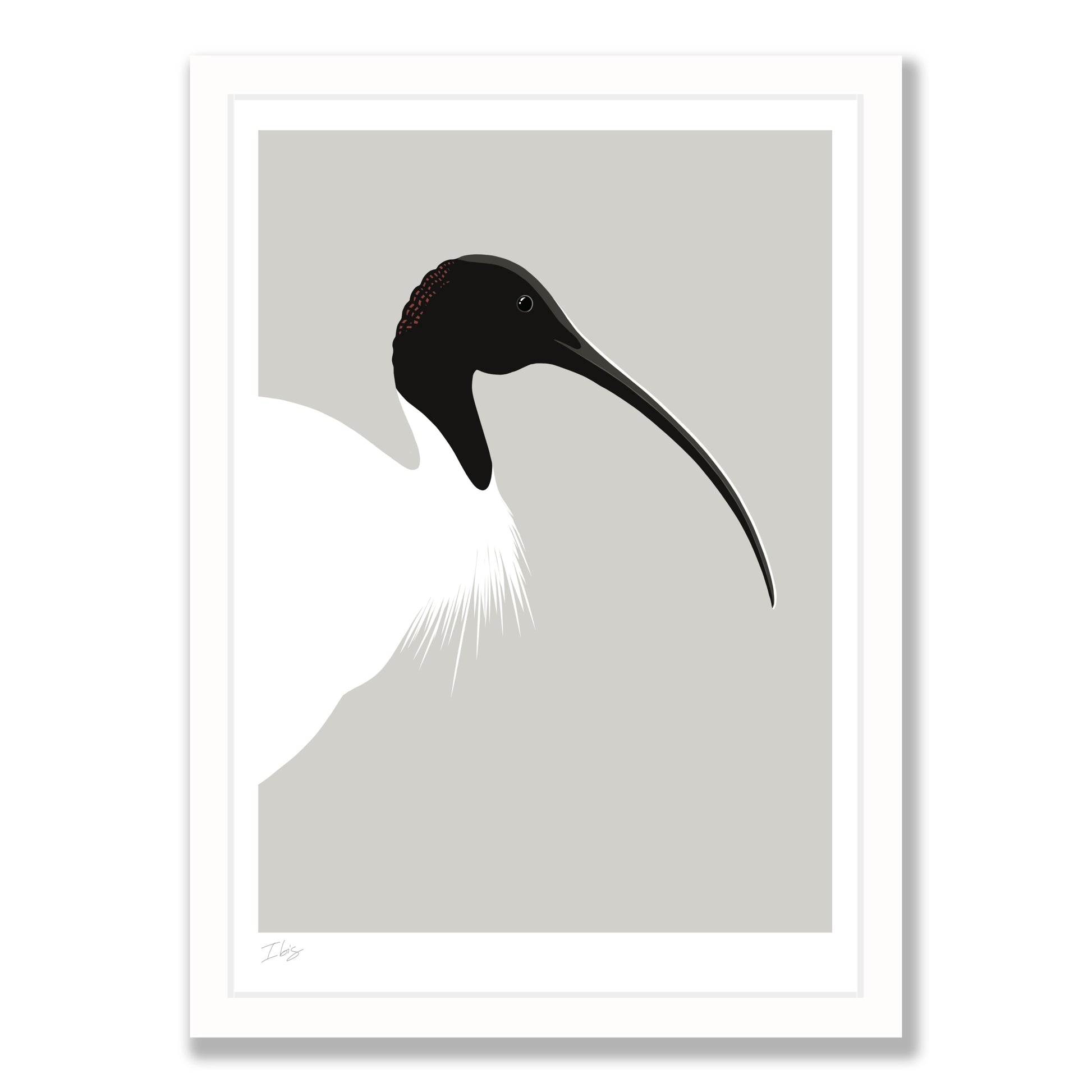 Ibis art print in white frame, by NZ artist Hansby Design