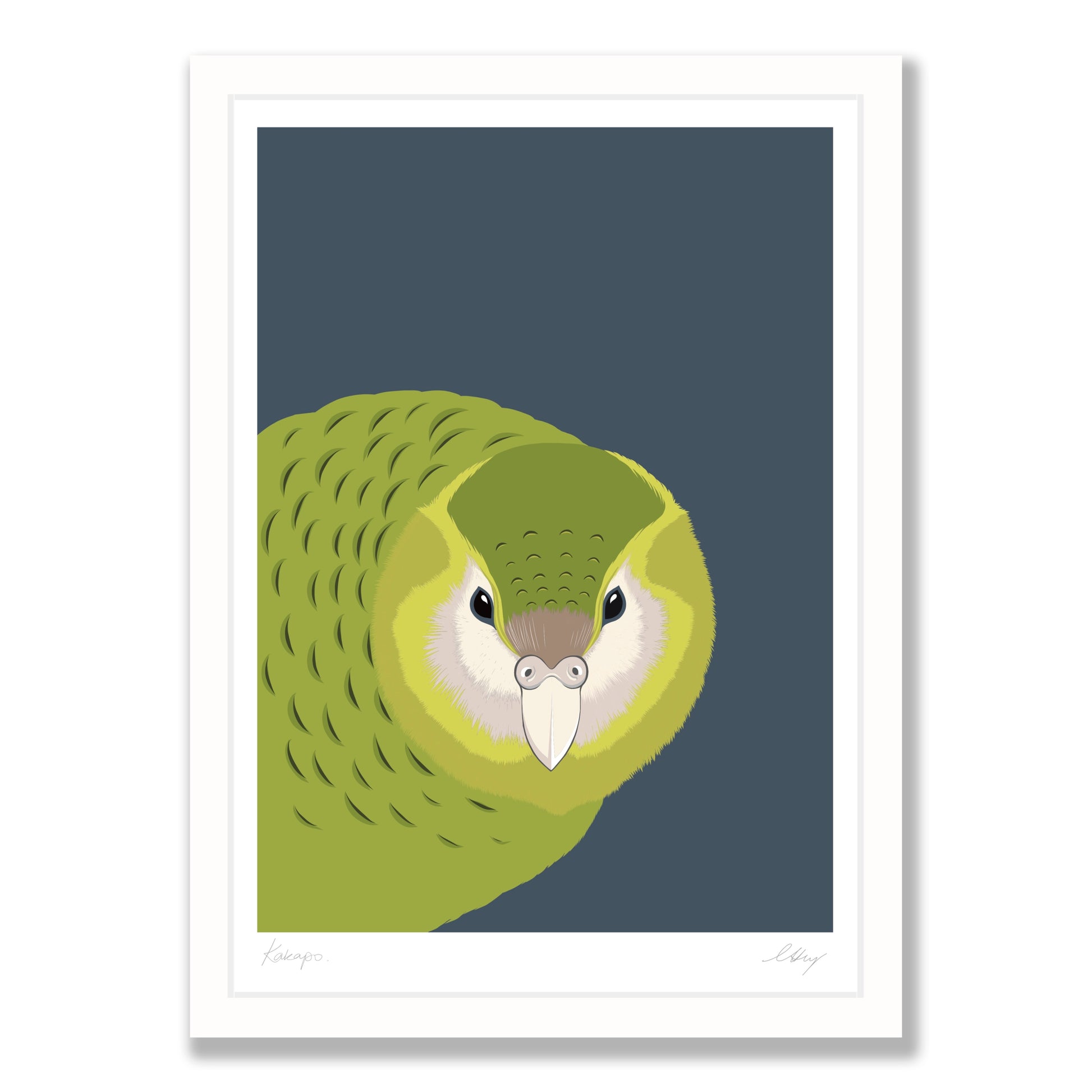 Kākāpō art print in white frame, by NZ artist Hansby Design