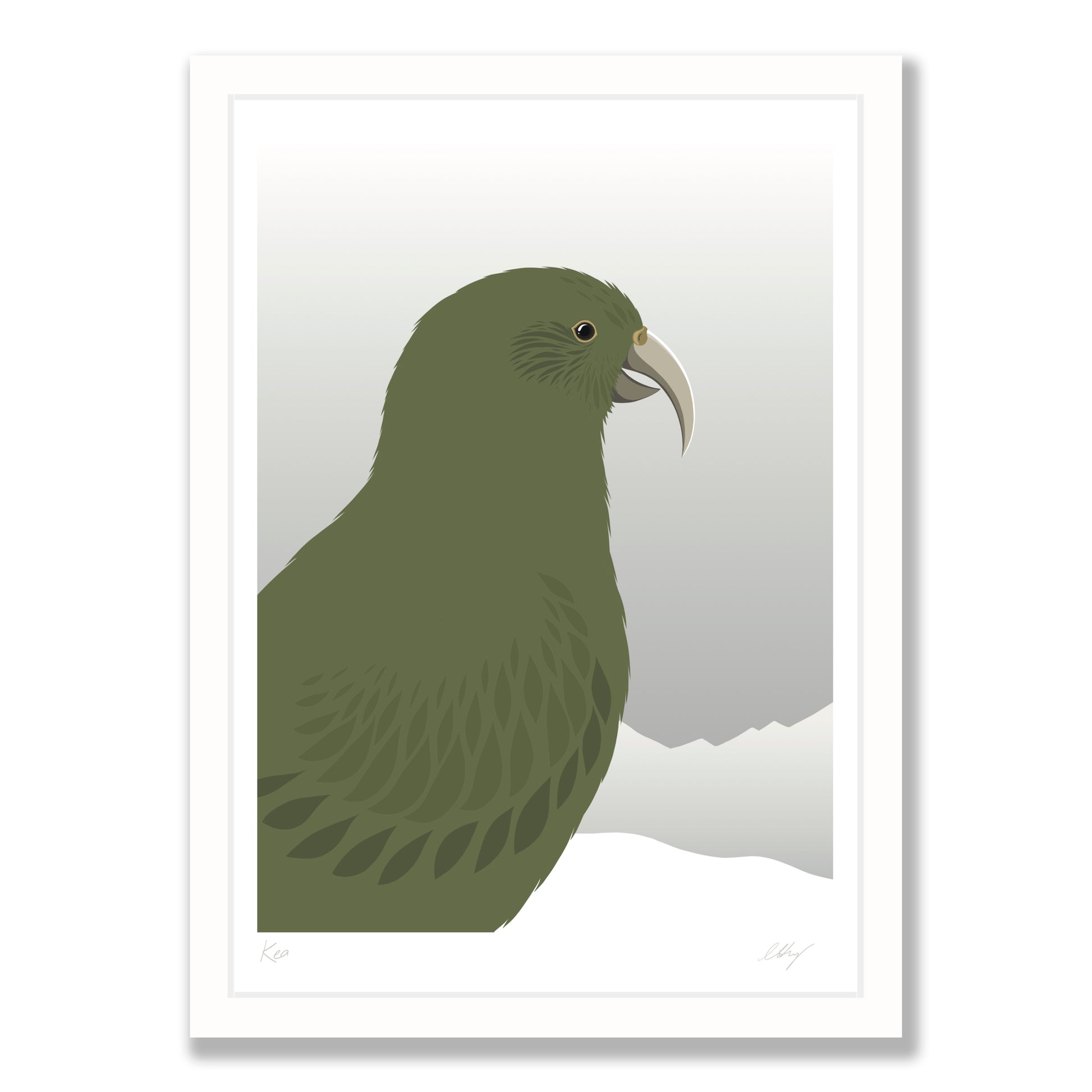 Kea Cheeky art print in white frame, by NZ artist Hansby Design