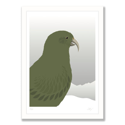 Kea Cheeky art print in white frame, by NZ artist Hansby Design