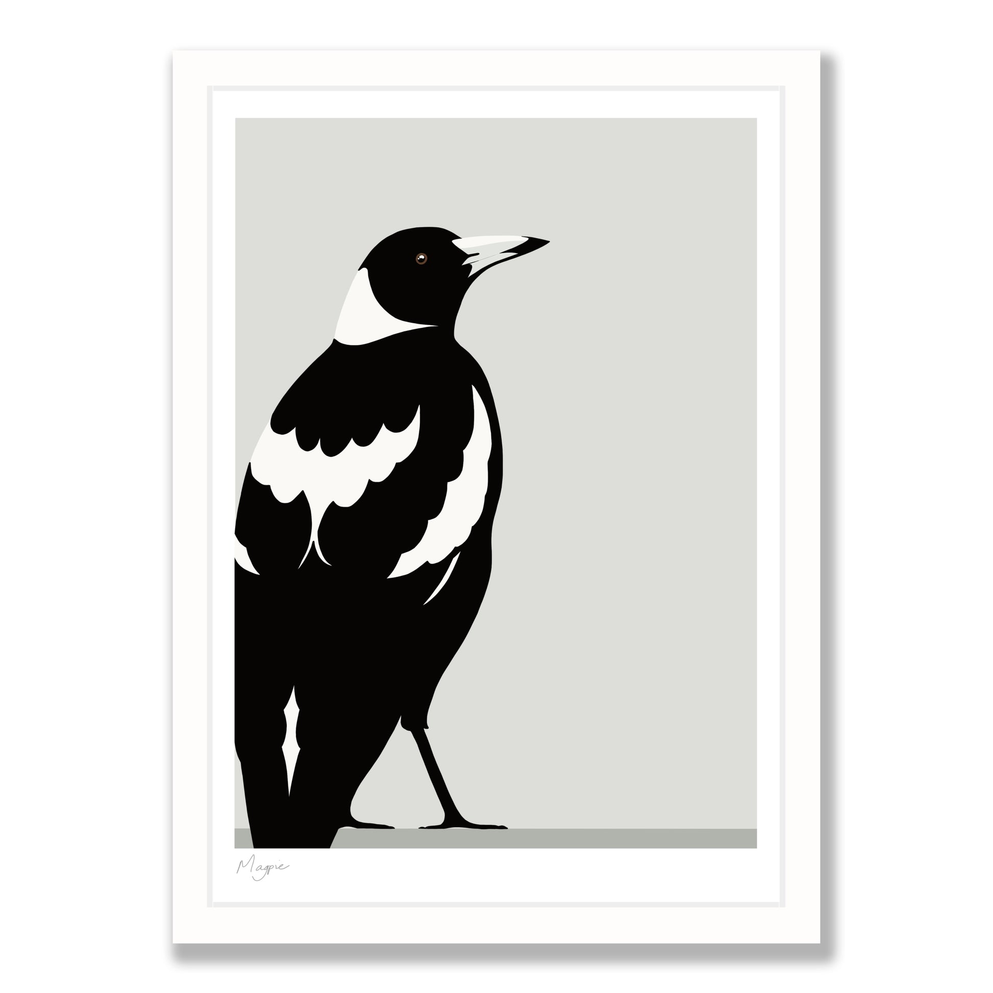 Magpie bird art print in white frame, by NZ artist Hansby Design