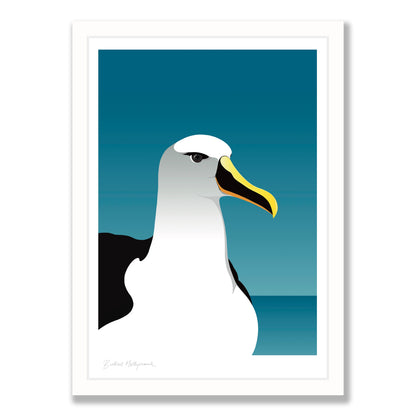 Mollymawk Albatross art print in white frame, by NZ artist Hansby Design