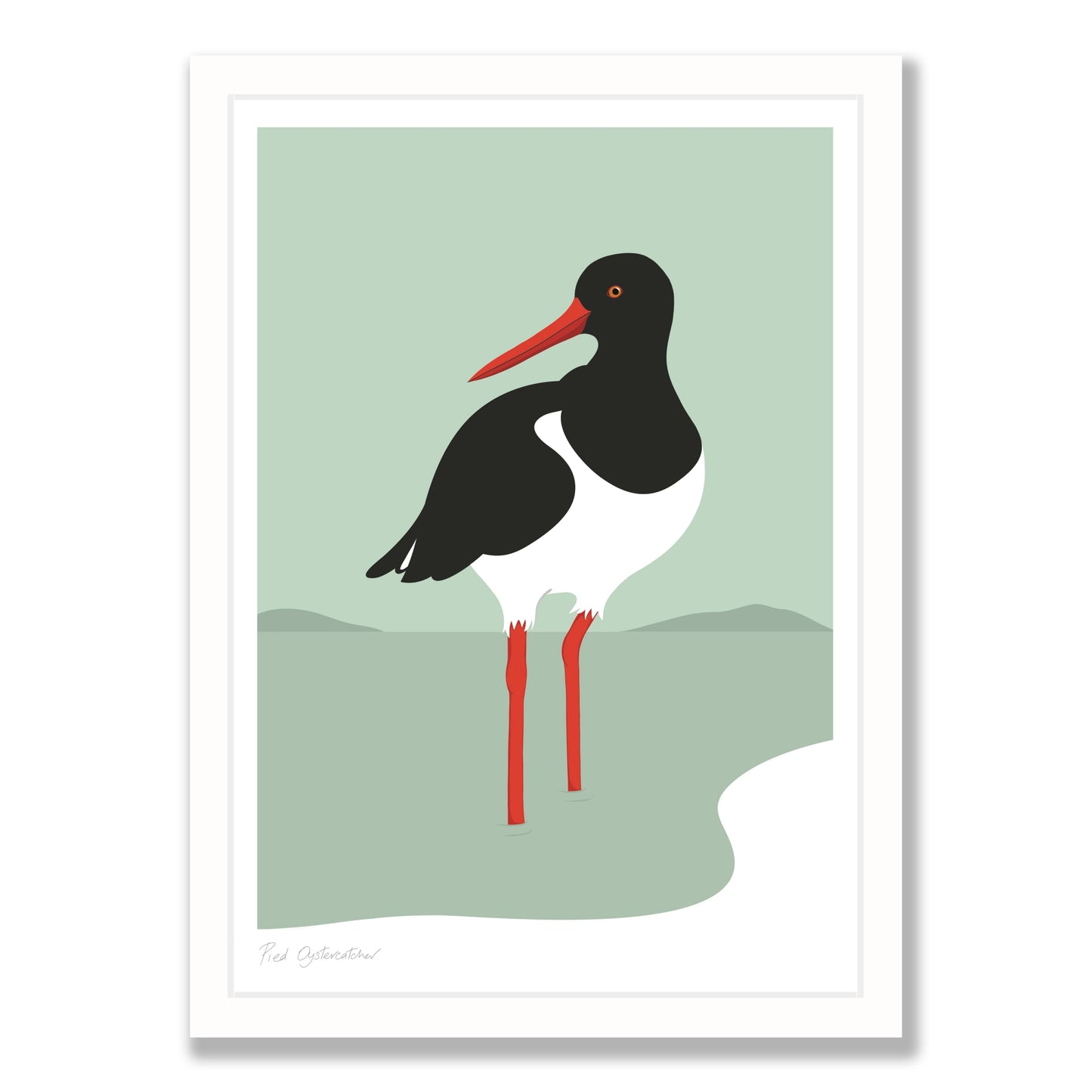 Oyster Catcher art print in white frame, by NZ artist Hansby Design