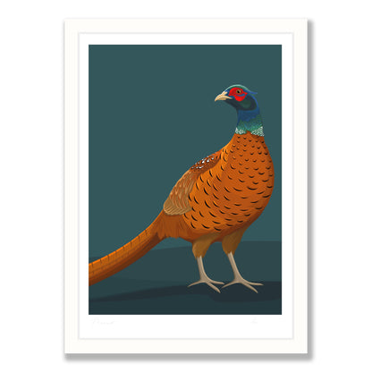 Pheasant art print in white frame, by NZ artist Hansby Design