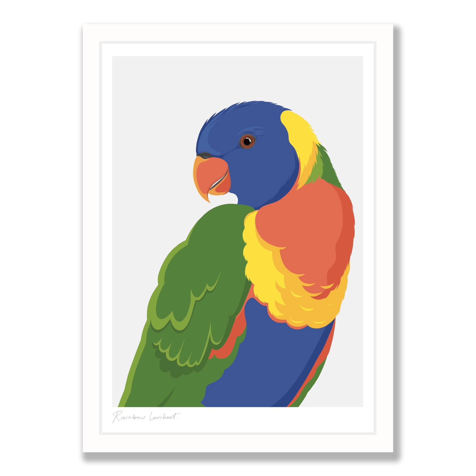 Rainbow Lorikeet bird art print in white frame, by NZ artist Hansby Design