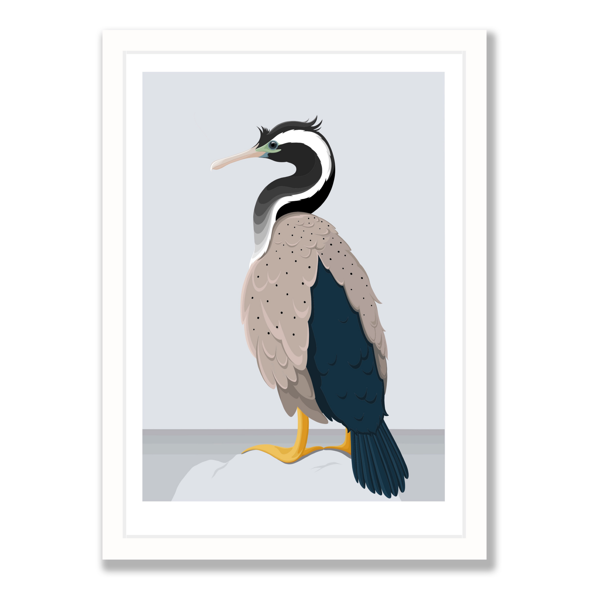 Spotted Shag art print in white frame, by NZ artist Hansby Design