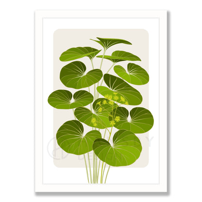 Tractor seat plant art print in white frame, by NZ artist Hansby Design