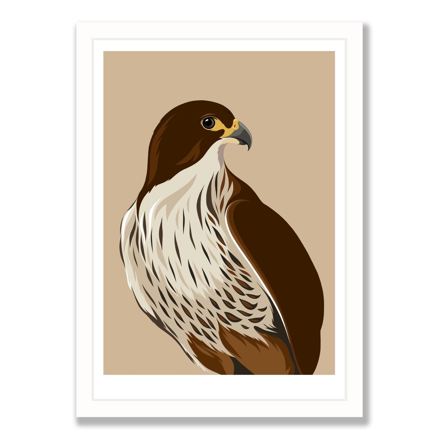 Falcon caramel art print in white frame, by NZ artist Hansby Design
