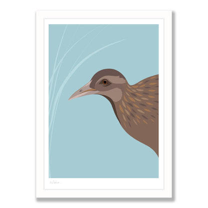 Weka bird art print in white frame, by NZ artist Hansby Design